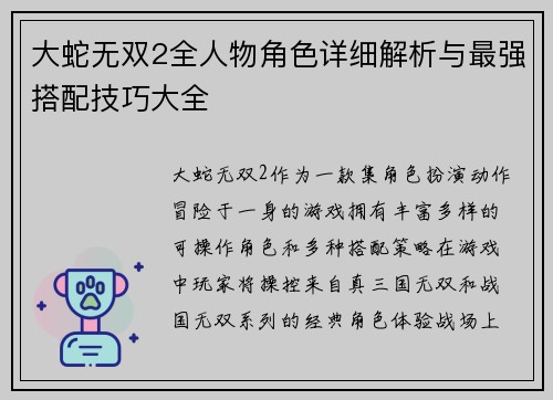 大蛇无双2全人物角色详细解析与最强搭配技巧大全